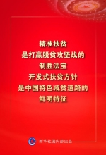 金句来了！习近平：没有哪一个国家能在这么短的时间内实现几亿人脱贫 - 西安网