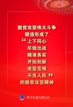 金句来了！习近平：没有哪一个国家能在这么短的时间内实现几亿人脱贫 - 西安网