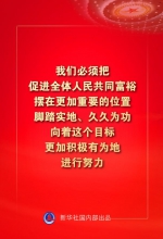 金句来了！习近平：没有哪一个国家能在这么短的时间内实现几亿人脱贫 - 西安网