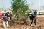 西安航空基地组织植树节活动 为航空城增绿添彩 - 西安网