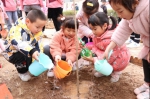 西安航空基地组织植树节活动 为航空城增绿添彩 - 西安网