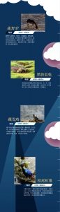 地球第三极：8000米落差造就的生物多样性之美 - 西安网