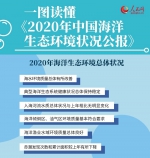 一图读懂《2020年中国海洋生态环境状况公报》 - 西安网