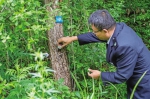 科学防治守护青山 陕西省有害生物防控工作纪实 - 西安网