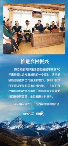 一跃跨千年 习近平心系西藏发展 - 西安网