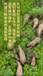 我们的共同家园｜生物多样性保护，习近平给出“中国方案” - 西安网