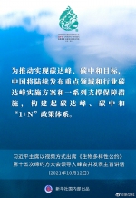 习近平在《生物多样性公约》第十五次缔约方大会领导人峰会上的主旨讲话速览 - 西安网