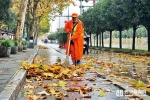 寒风细雨落叶飞 环卫工人清扫忙 - 西安网