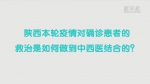 新华全媒+|中西医结合救治新冠患者效果如何?——访国务院联防联控机制综合组陕西工作组医疗救治组专家张忠德 - 西安网