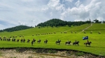 第十一届宝鸡市文化旅游节“抖动关山 请您来嗨”陇县全域旅游系列活动启动 - 西安网