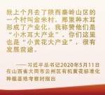 总书记挂念的“关键小事”丨让“小作物”成为助力脱贫致富的“大产业” - 西安网