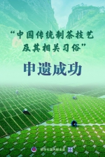 权威快报|“中国传统制茶技艺及其相关习俗”申遗成功 - 西安网