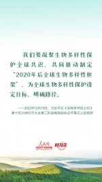 时习之 推动全球生物多样性治理迈上新台阶 习近平提出四点中国倡议 - 西安网