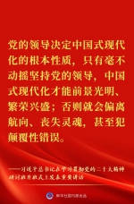 “正确理解和大力推进中国式现代化”——习近平总书记在学习贯彻党的二十大精神研讨班开班式上重要讲话金句来了！ - 西安网