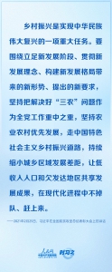 奋进的春天｜定战略、明思路、论办法 习近平这样谋划乡村振兴大棋局 - 西安网