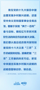 奋进的春天｜定战略、明思路、论办法 习近平这样谋划乡村振兴大棋局 - 西安网