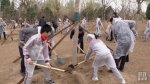 时政新闻眼丨在今年首都义务植树现场，习近平这三句话饱含深意 - 西安网