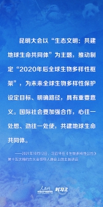 保护生物多样性 习近平提出这些中国主张 - 西安网